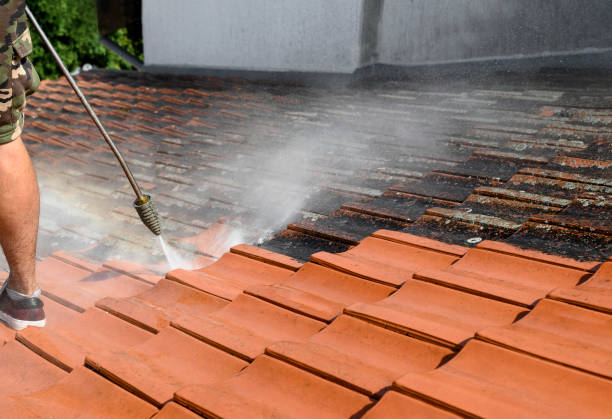 Best Roof Pressure Washing  in Bedford, IA