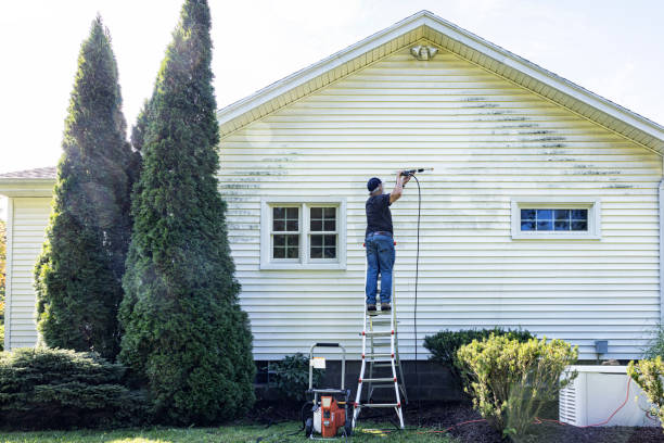 Best Roof Power Washing Services  in Bedford, IA